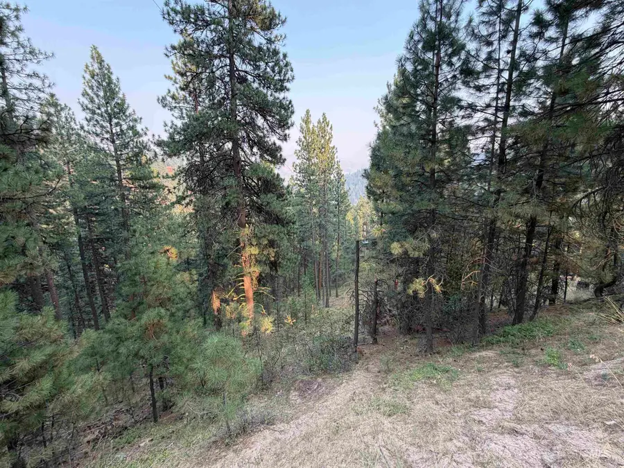 Sub 5 Lot 22 Wilderness Ranch, Boise, ID 83716 - #3