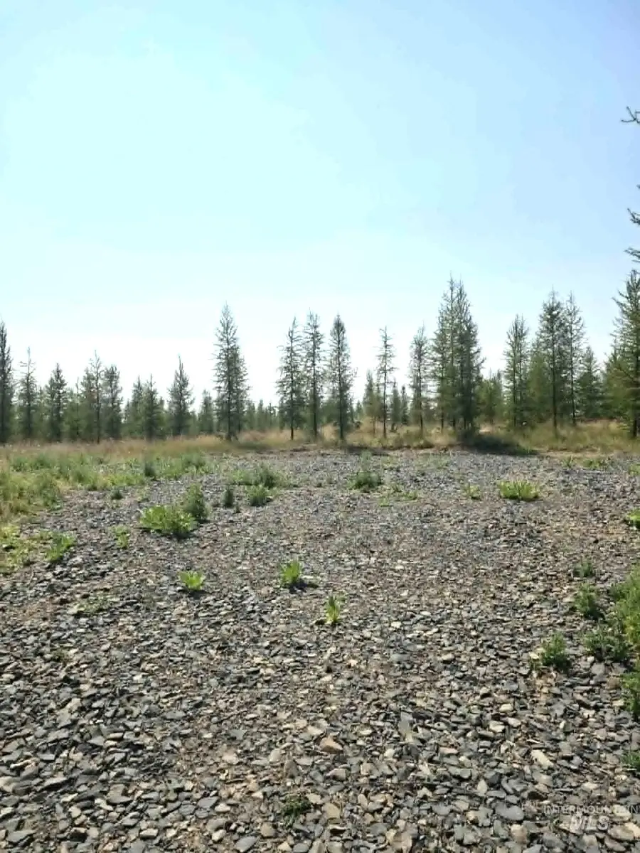 333 Wildwood Drive, Orofino, ID 83544 - #2