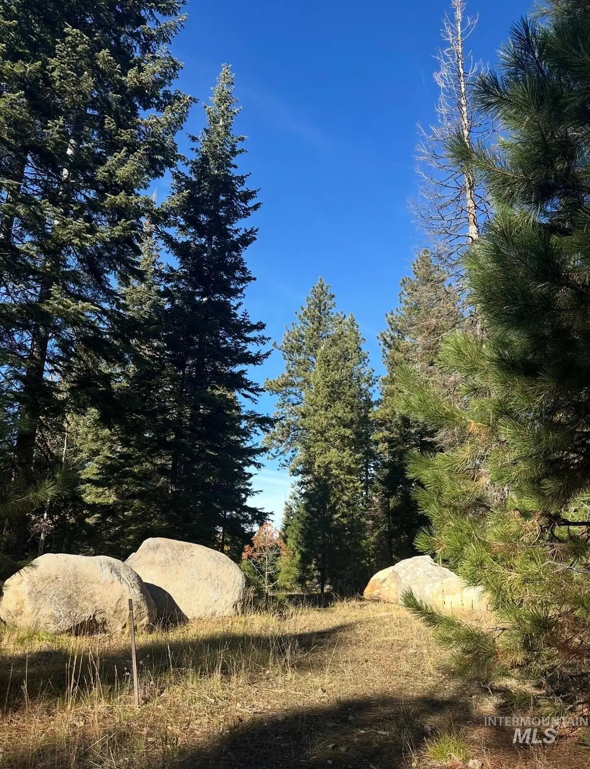 TBD Heavens Gate Ct., McCall, ID 83638 - #1