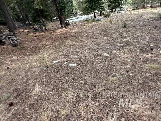 TBD Heavens Gate Ct., McCall, ID 83638 - #3
