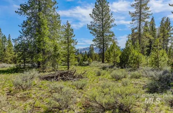 15 Eveningstar Ct, McCall, ID 83638