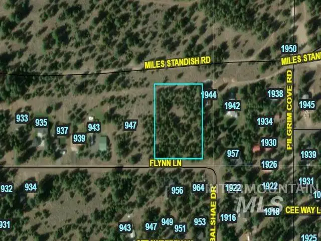 Flynn Ln, McCall, ID 83638 - #1