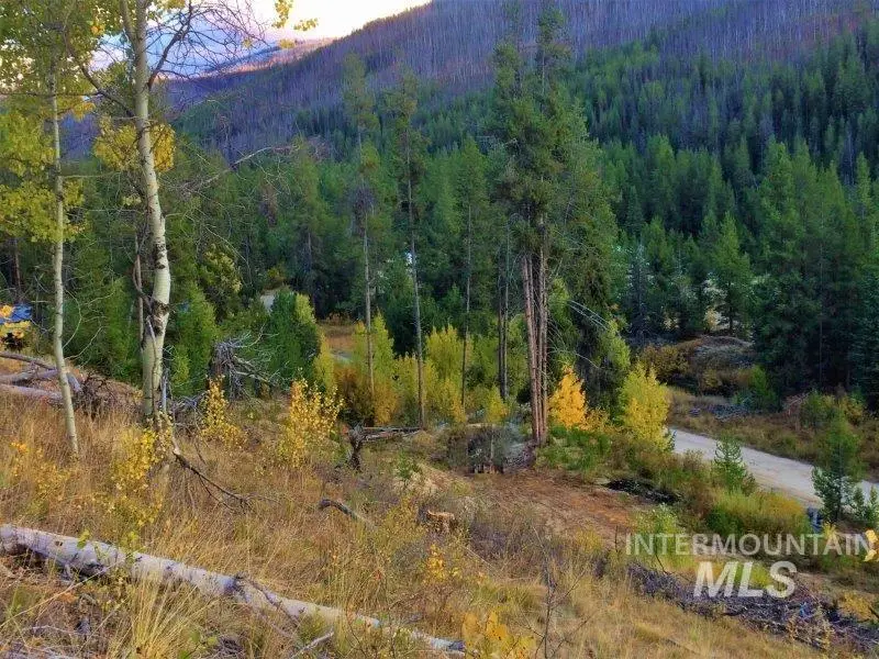 1.38 AC Main Street, Warren, ID 83671 - #1
