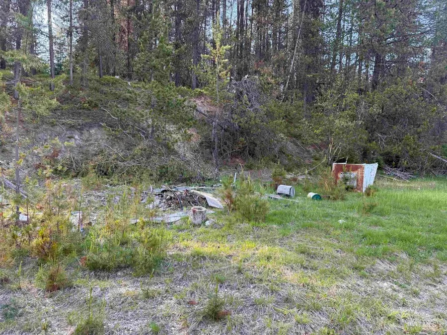 101 and 107 Cabin Rd, Elk City, ID 83525 - #2