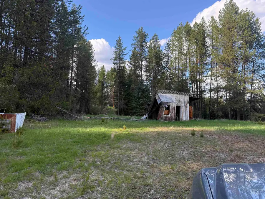 101 and 107 Cabin Rd, Elk City, ID 83525 - #3
