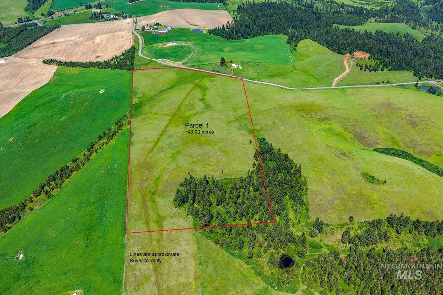TBD Johnson Rd. Parcel #1, Deary, ID 83823 - #2