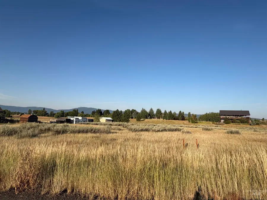 13975 Wrangler Rd, McCall, ID 83638 - #3