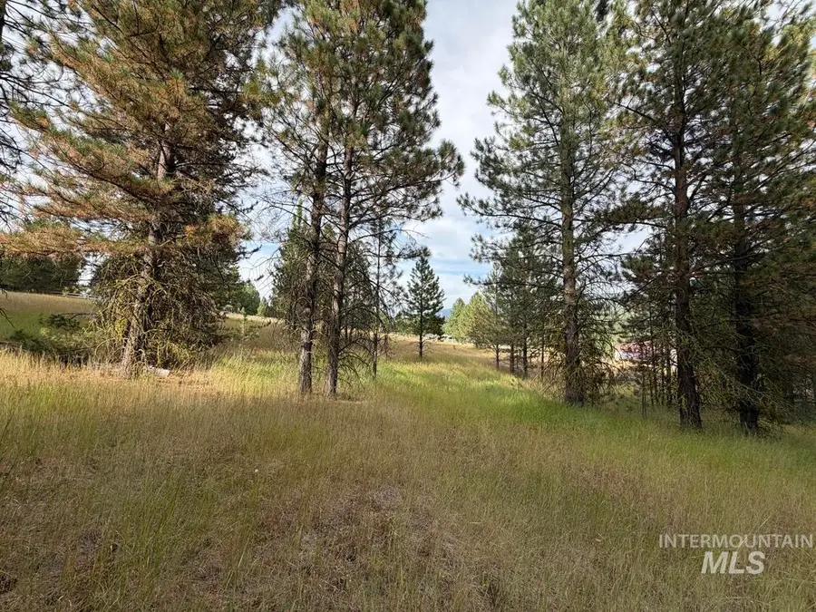 15 Blue Spruce Court, Cascade, ID 83611 - #3