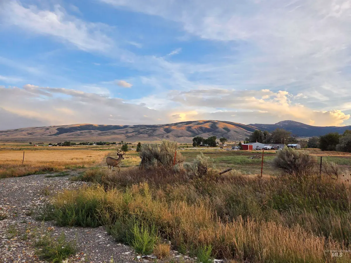 Lot 9, Block 2 Honey Locust, Albion, ID 83311 - #1