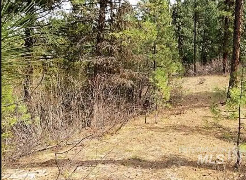 TBD Apple Wood Dr, Garden Valley, ID 83622 - #2