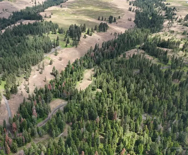 NNA Lots 25 Cloverland Estates, Asotin, WA 99402