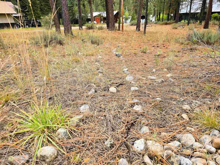 lot 5 Bransons, Lowman, ID 83637 - #2