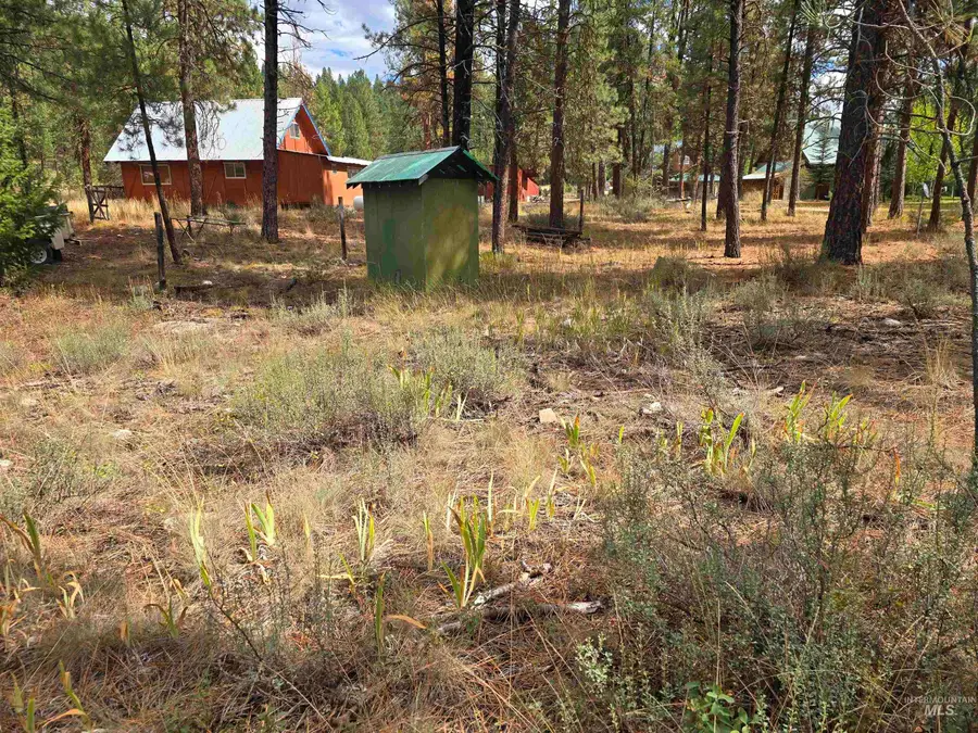 lot 5 Bransons, Lowman, ID 83637 - #3