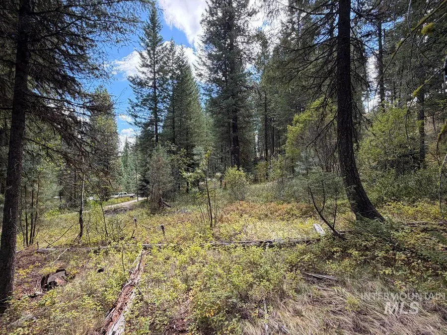 48 Rehn Loop, Cascade, ID 83611 - #3