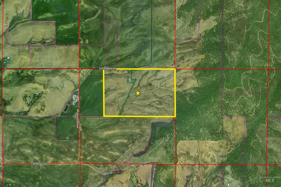 1140 Evergreen Rd., Desmet, ID 83824 - #3