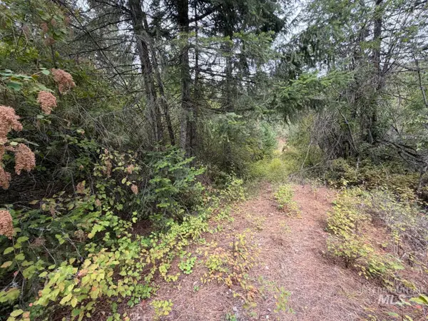 NKA Snowberry Lane Lot 13, Plummer, ID 83851