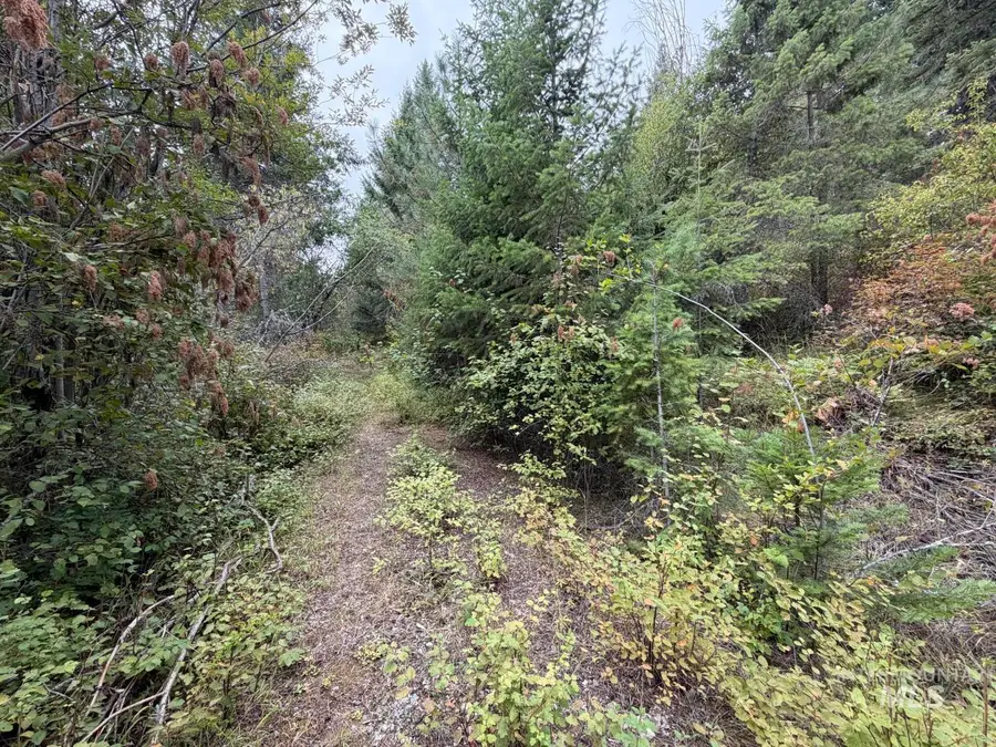 NKA Snowberry Lane Lot 13, Plummer, ID 83851 - #3