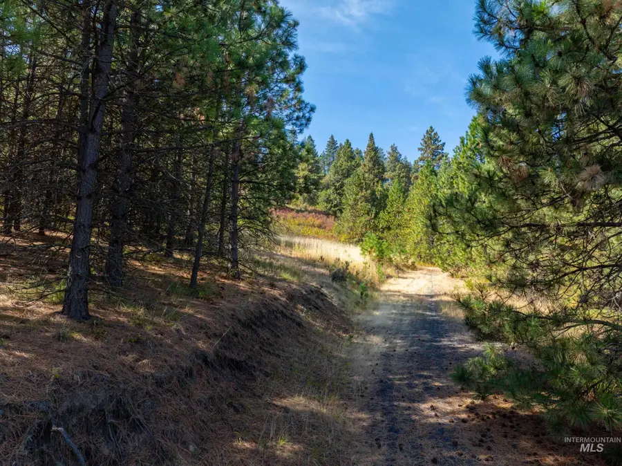TBD Katnook Lane, Moscow, ID 83843 - #3