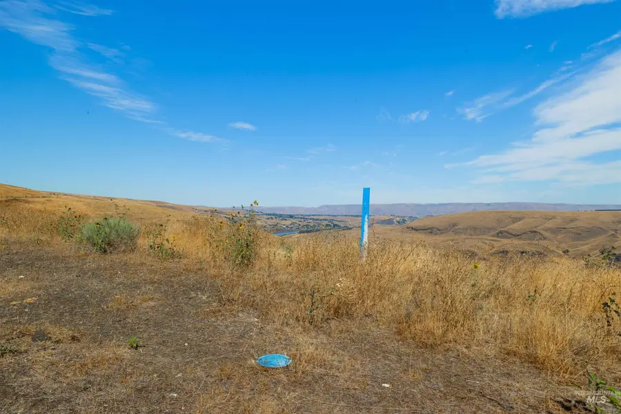 793 Swantz Dr, Asotin, WA 99402 - #3