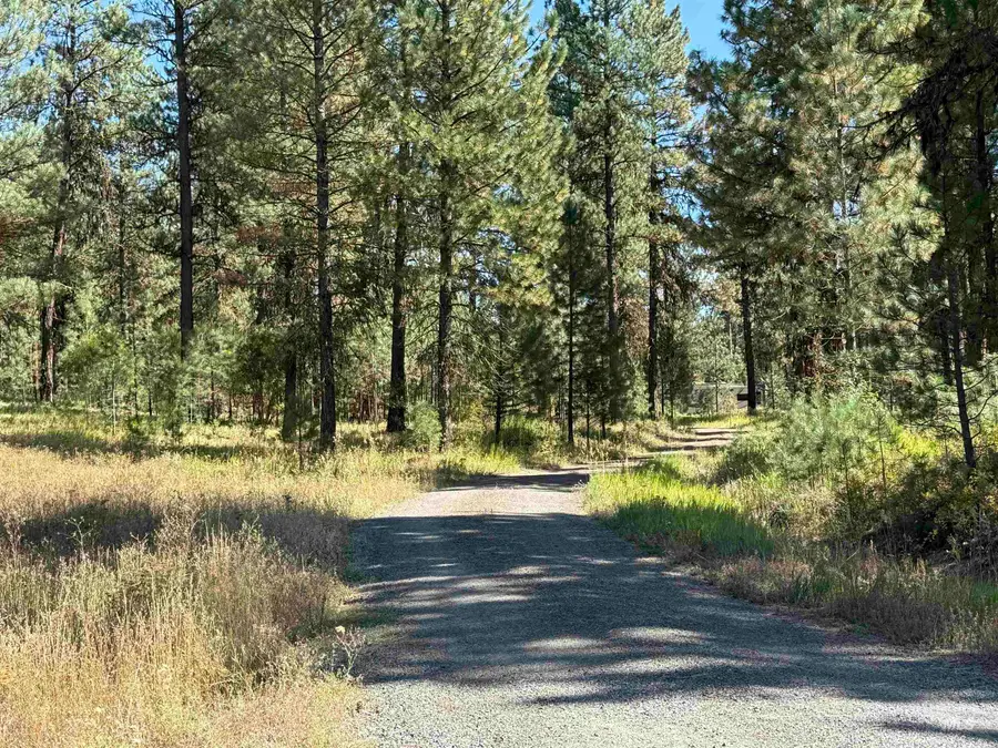 3177 Timber Ridge Drive, New Meadows, ID 83654 - #2