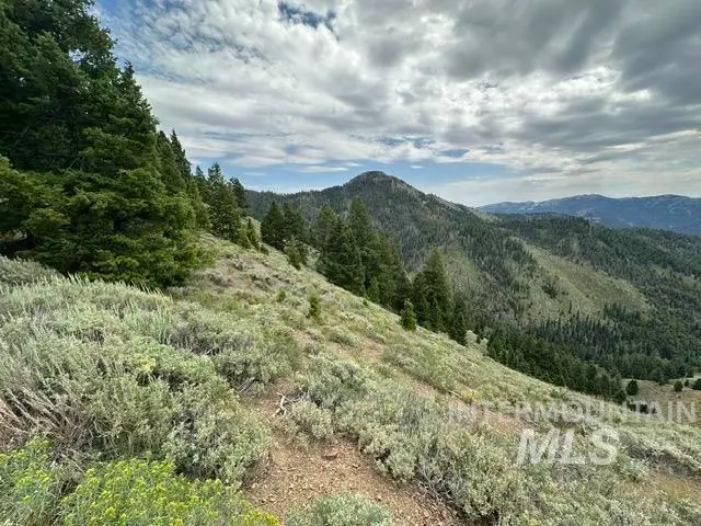 Carrie Creek Rd. Smokey Mountains, Fairfield, ID 83327 - #3
