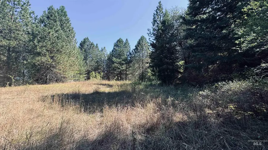 TBD Dalton Acres Rd, Clearwater, ID 83552 - #2