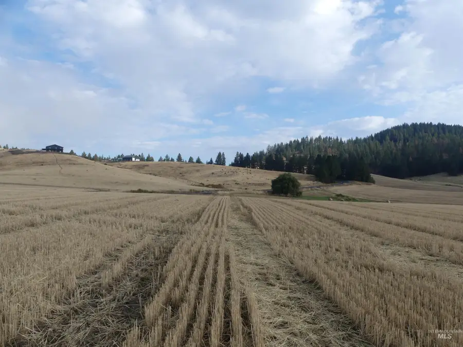 13525 Cavendish Hwy, Kendrick, ID 83537 - #2