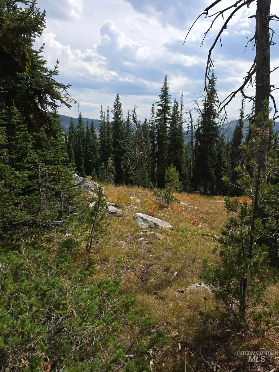 TBD Hump Lake Lot 2, Dixie, ID 83525 - #2