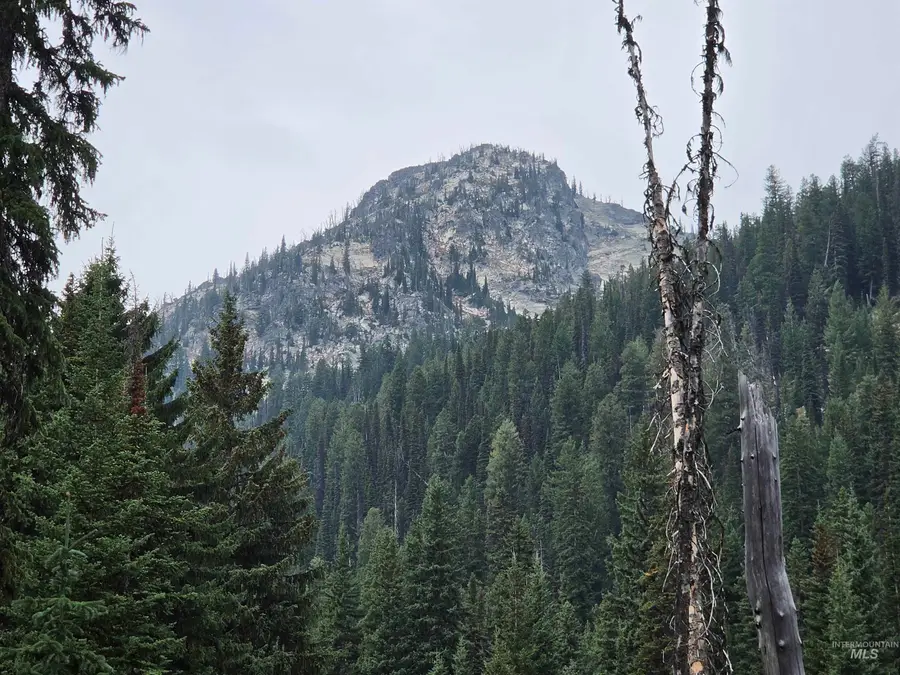TBD Hump Lake Lot 3, Dixie, ID 83525 - #3