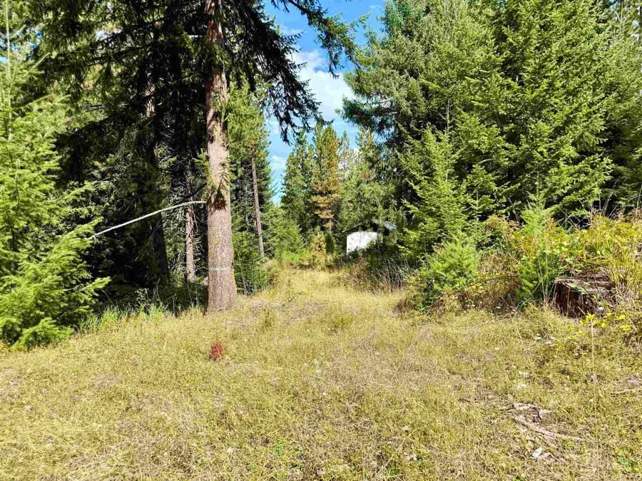 TBD Pine Hollow Lane, Kooskia, ID 83539 - #2