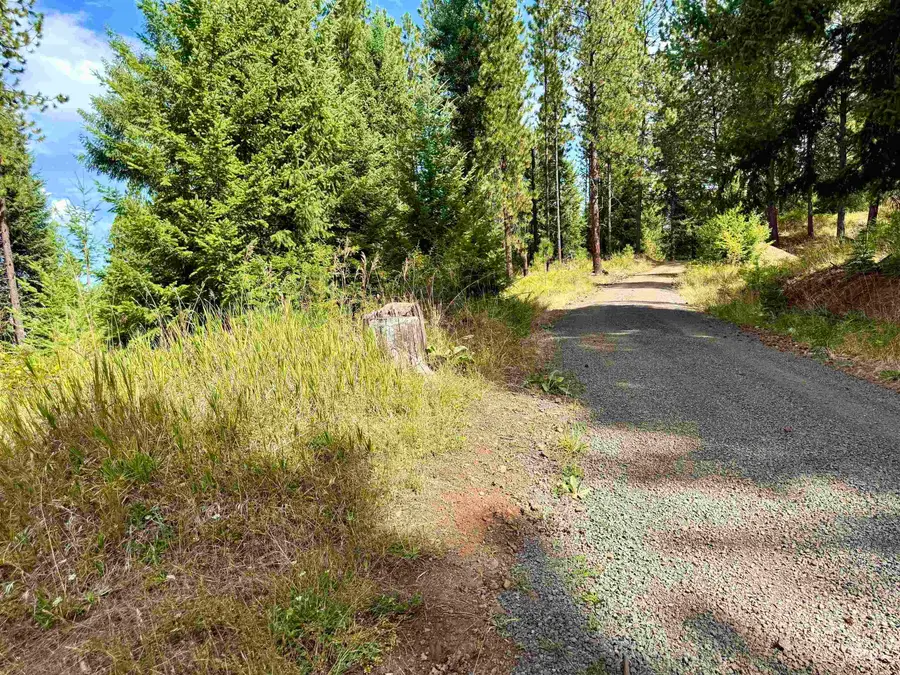 TBD Pine Hollow Lane, Kooskia, ID 83539 - #3