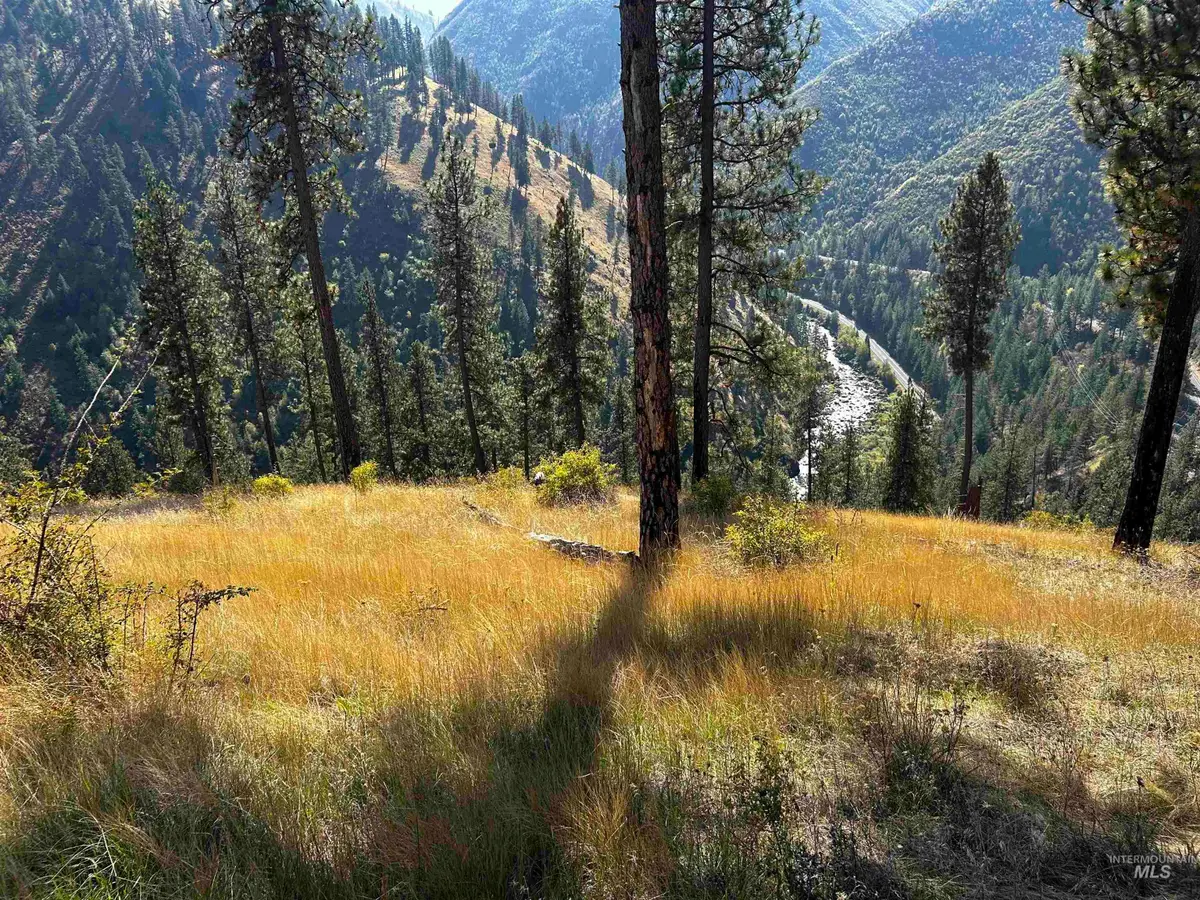 1303 Highway 14, Grangeville, ID 83530 - #1