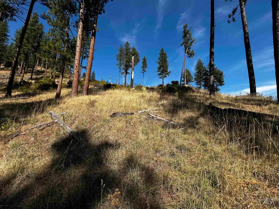 1303 Highway 14, Grangeville, ID 83530 - #3