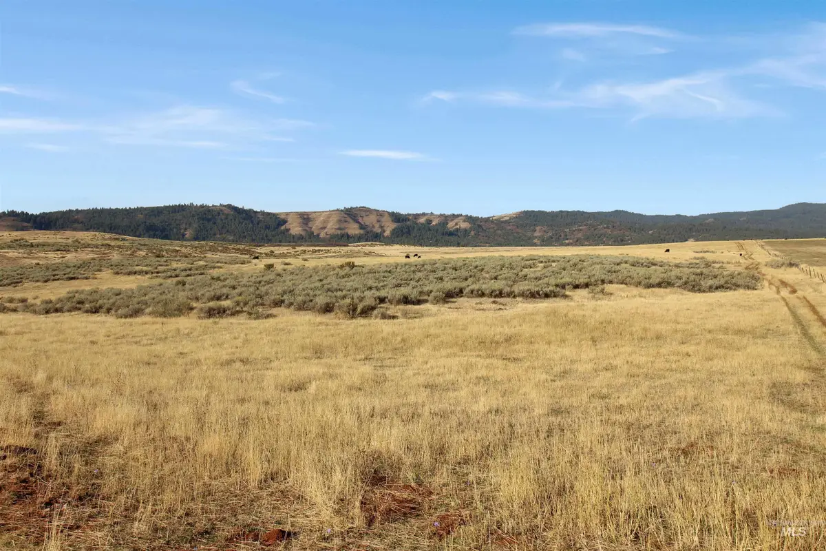 TBD Airport Rd., Council, ID 83612 - #1