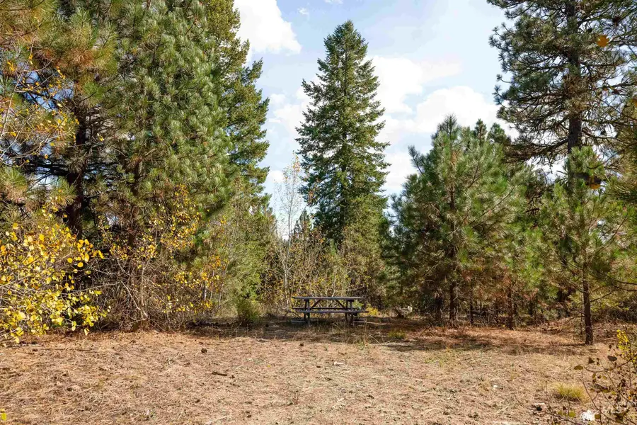 47 Coit Drive, Cascade, ID 83611 - #2