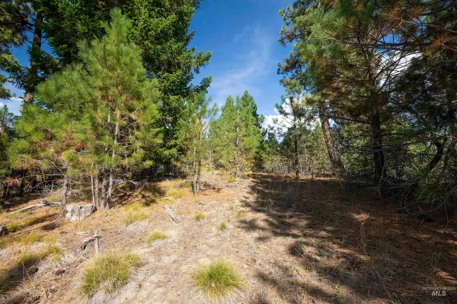 47 Coit Drive, Cascade, ID 83611 - #3