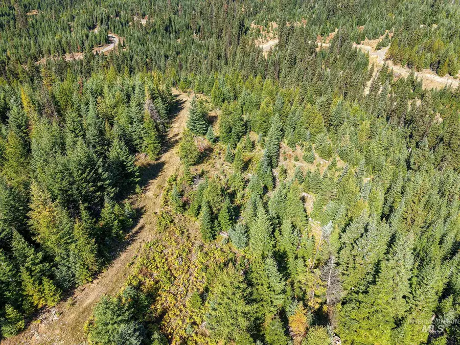 TBD Parcel 10 Tree Farm Trails Road, Elk City, ID 83525 - #2