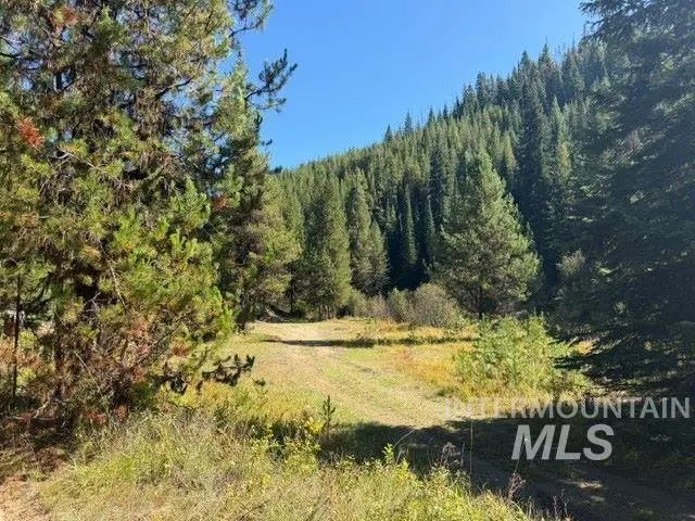 TBD American Eagle Properties Survey 1810 & 1881, Elk City, ID 83525 - #2