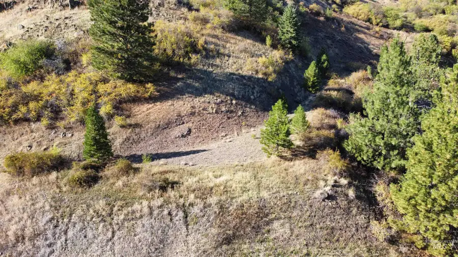 TBD Big Canyon Road, White Bird, ID 83554 - #3