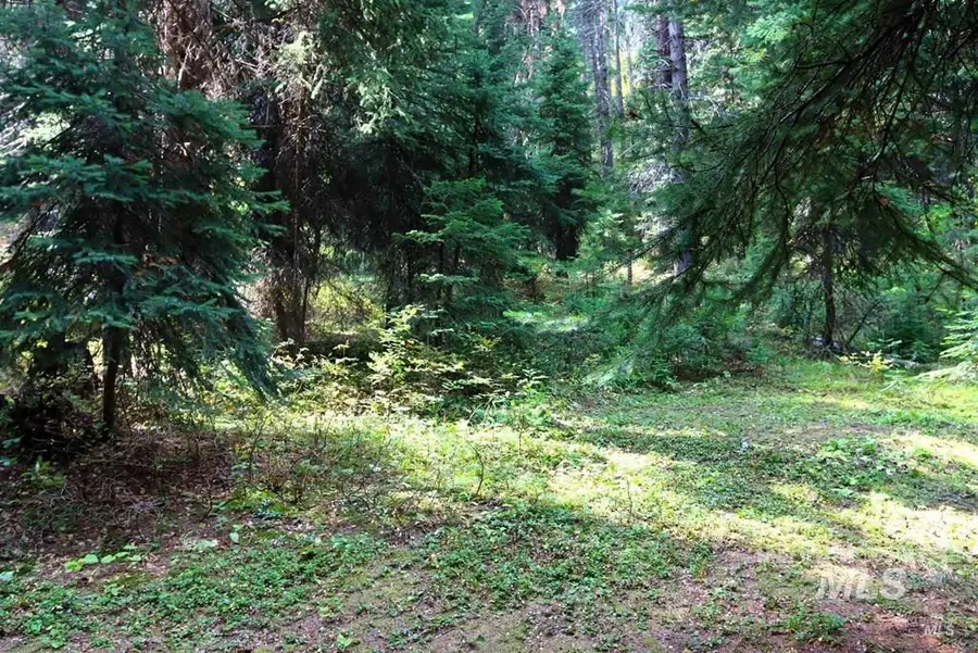 2325 W Mountain, Donnelly, ID 83615 - #3