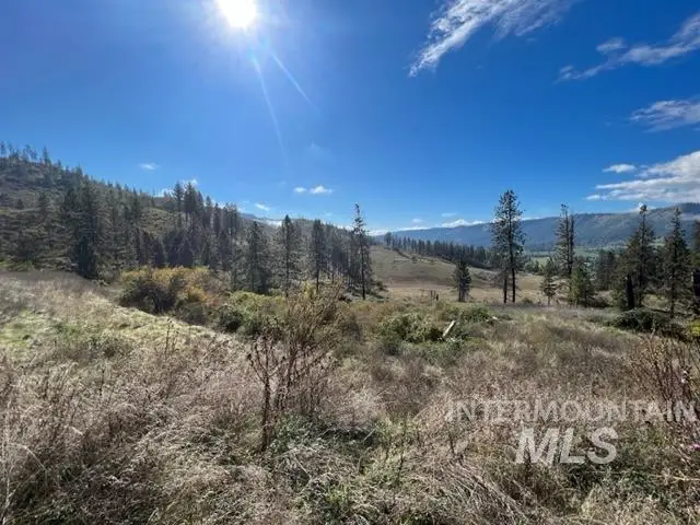 TBD Lot 1 Elk Hill Road, Kamiah, ID 83536 - #3
