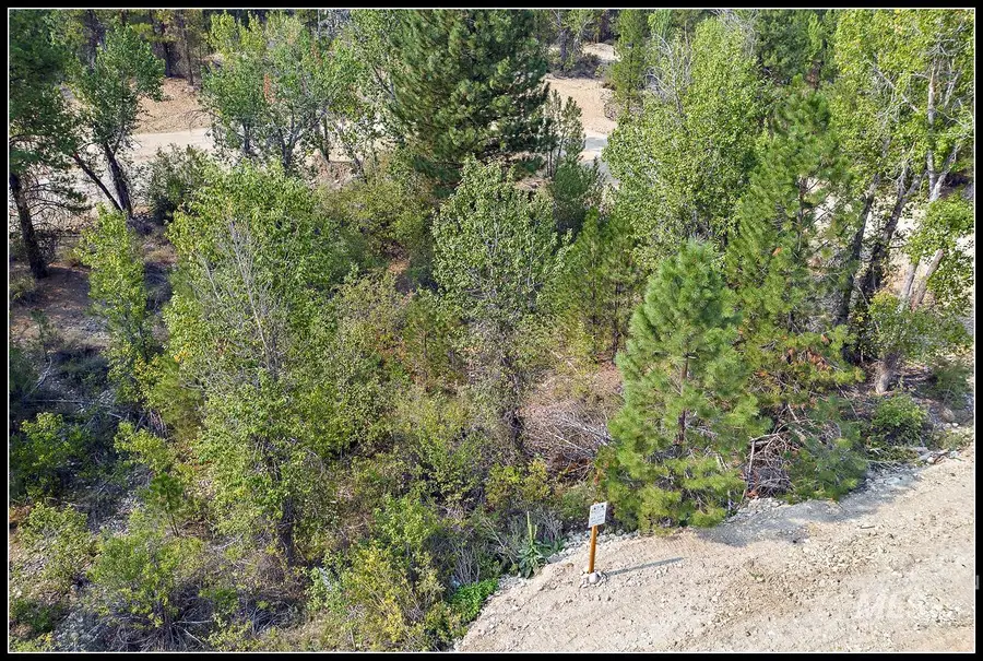 Lot 61 Lily Loop, Idaho City, ID 83631 - #2