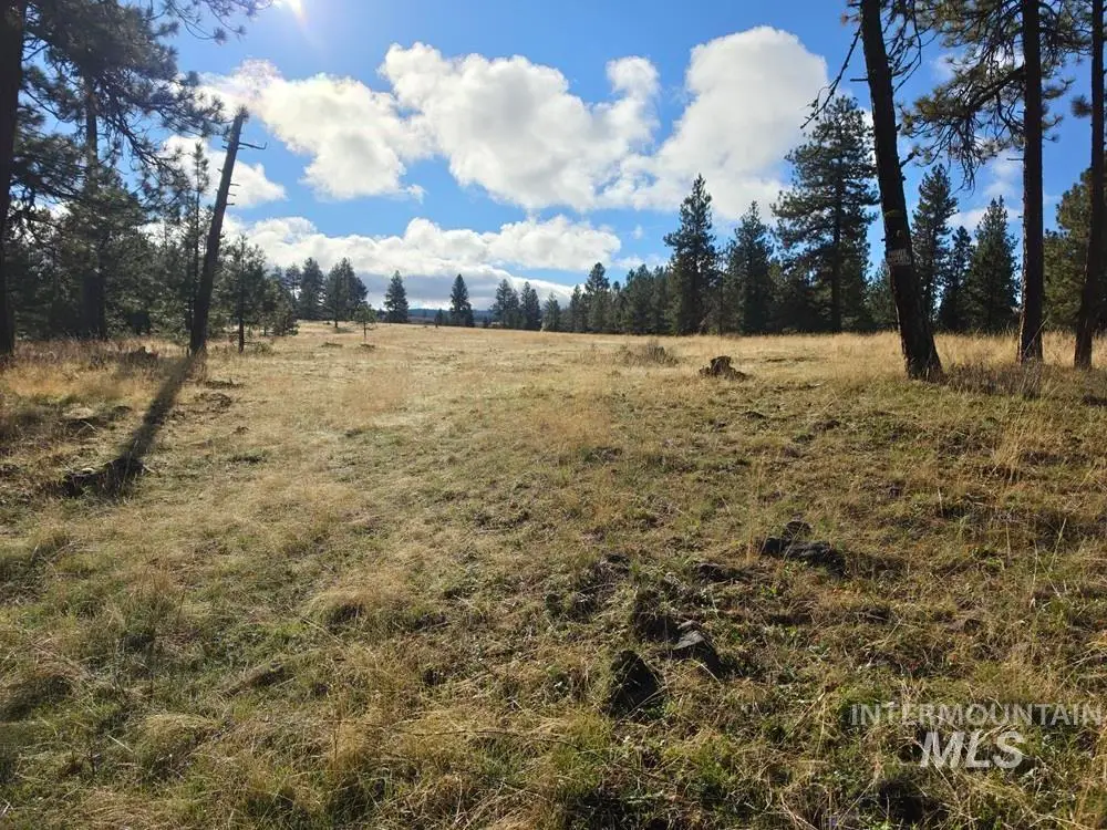 TBD Joseph Plains Rd, White Bird, ID 83554 - #1