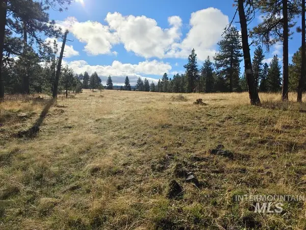 TBD Joseph Plains Rd, White Bird, ID 83554
