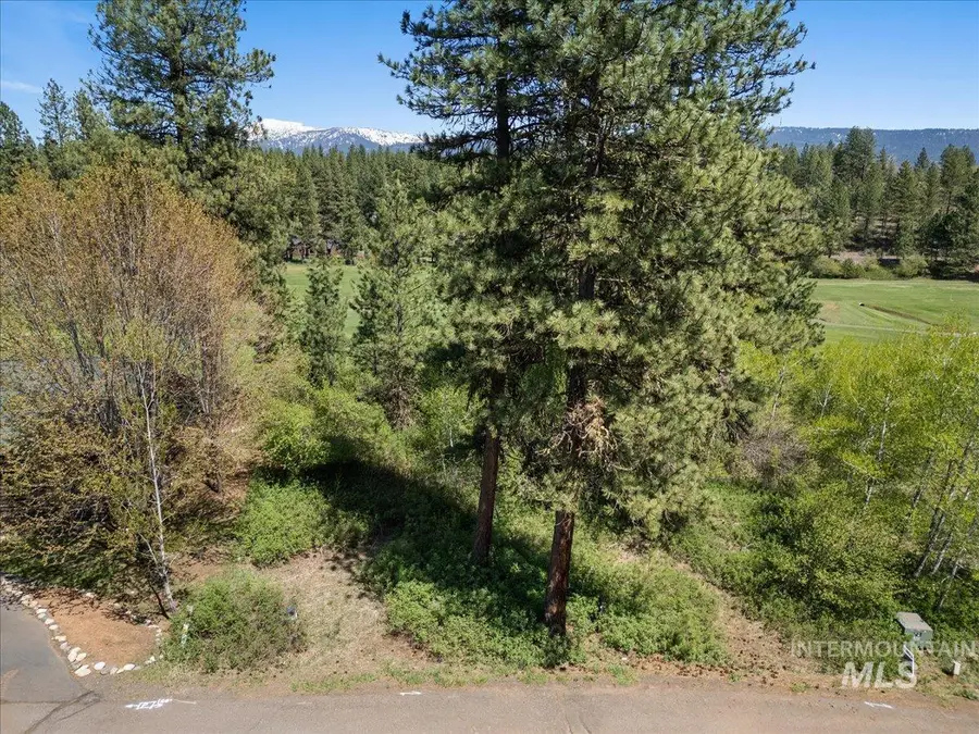 L5 Ponderosa Court, New Meadows, ID 83654 - #3