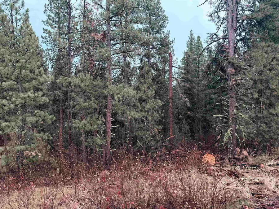 TBD Idaho City- Lot 24, Idaho City, ID 83631 - #2