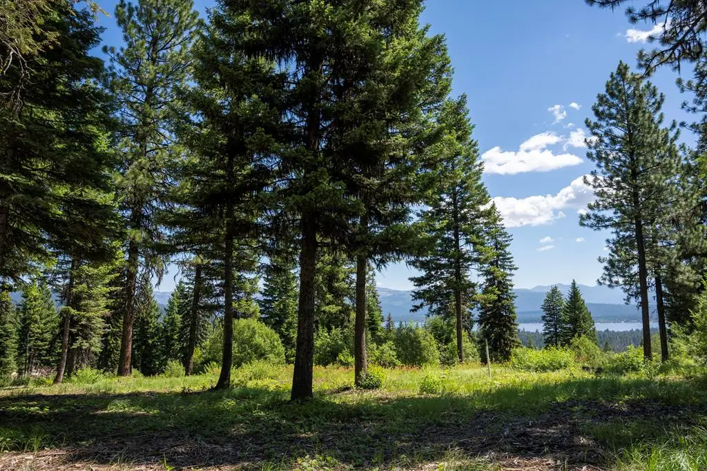661 Migratory Ridge, McCall, ID 83638 - #1