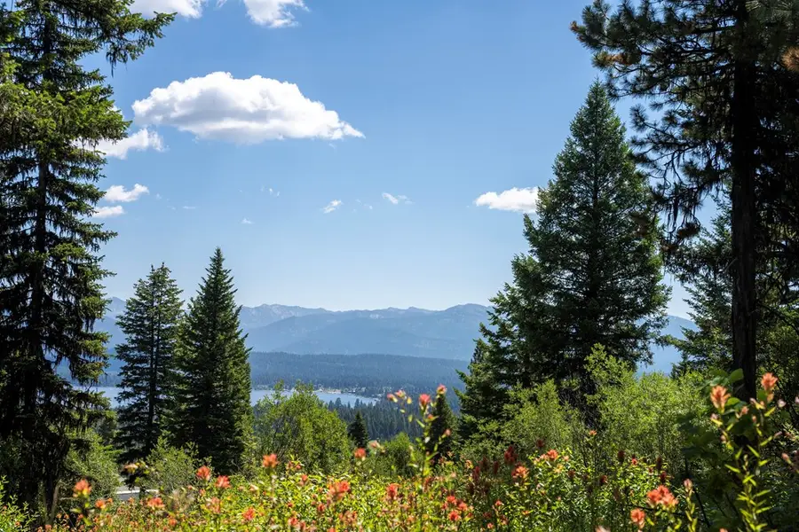 661 Migratory Ridge, McCall, ID 83638 - #3