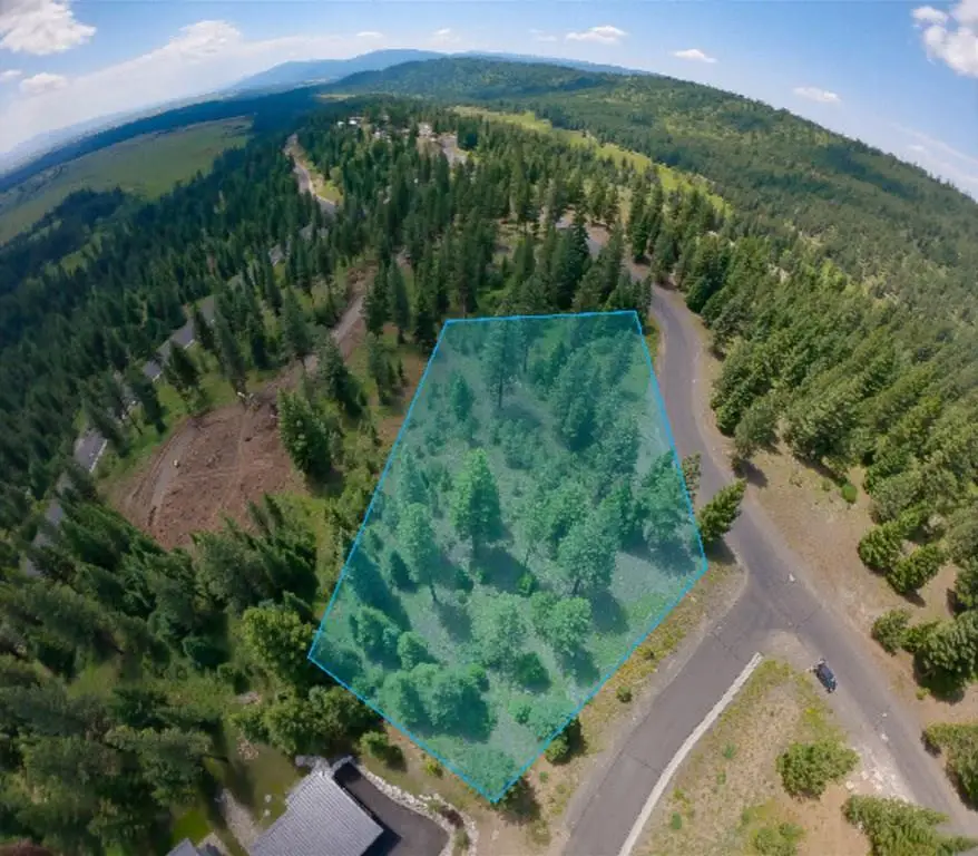 609 Migratory Ridge, McCall, ID 83638 - #1