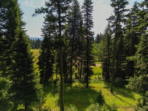 4625 Williams Creek Loop, McCall, ID 83638